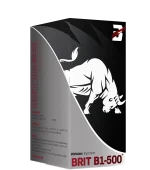 injection-brit_b1_500_.._2
