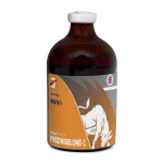 injection predniselone-1